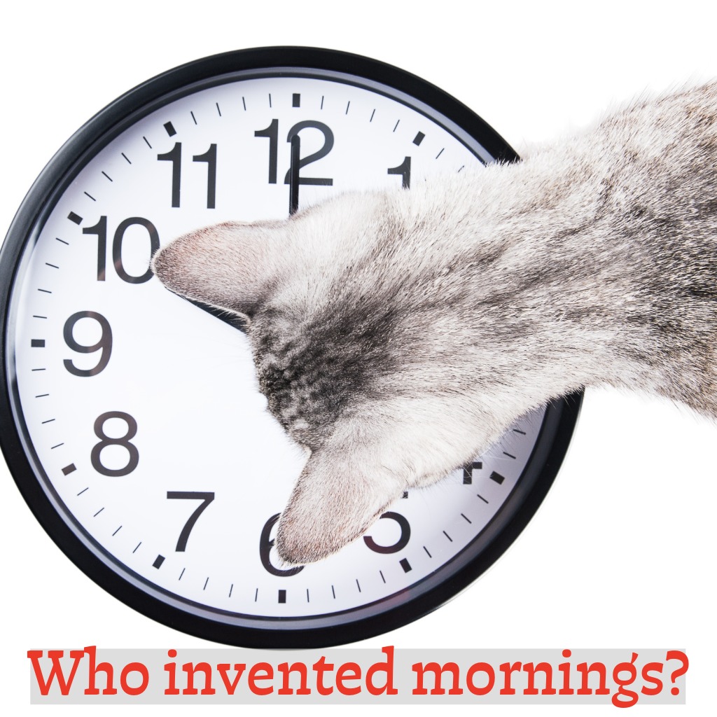 Alarm Clock Enemy | Good Morning Images With Cats quotes and wishes