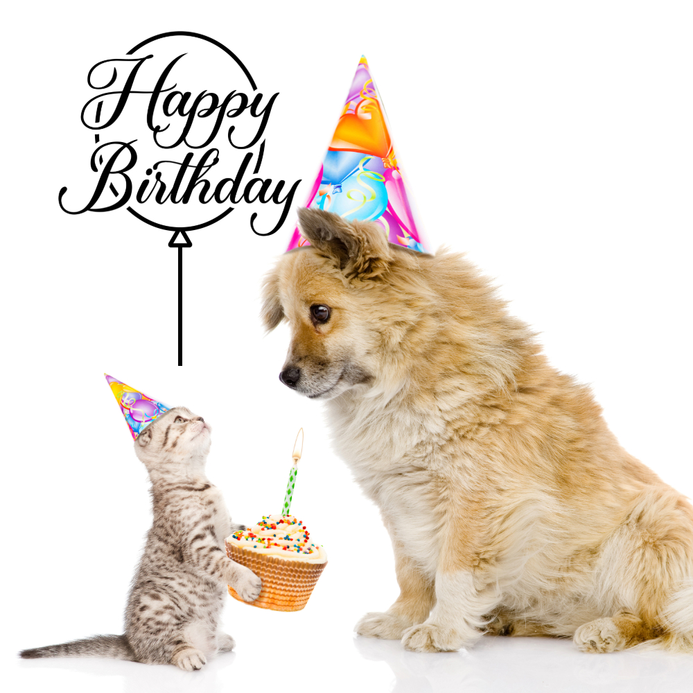 Happy Birthday Wishes Image | Birthday Wishes Images quotes and wishes