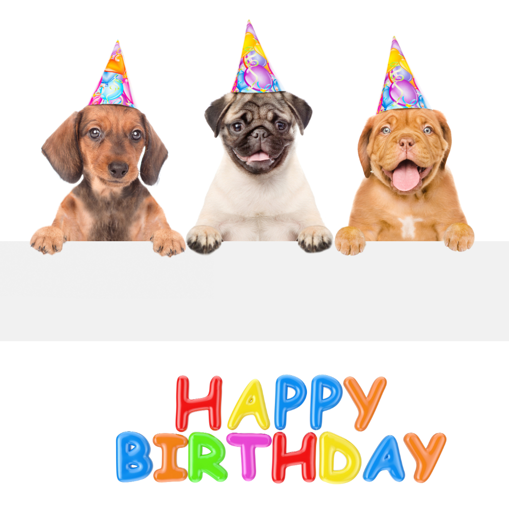 Happy Birthday Wishes Image | Birthday Wishes Images quotes and wishes