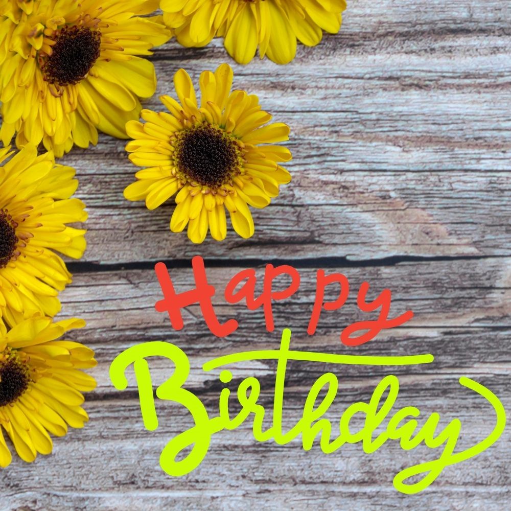 Happy Birthday Wishes Image | Birthday Wishes Images quotes and wishes