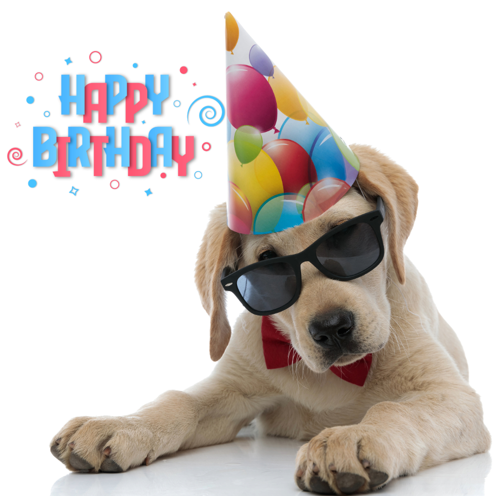 Happy Birthday Wishes Image | Birthday Wishes Images quotes and wishes