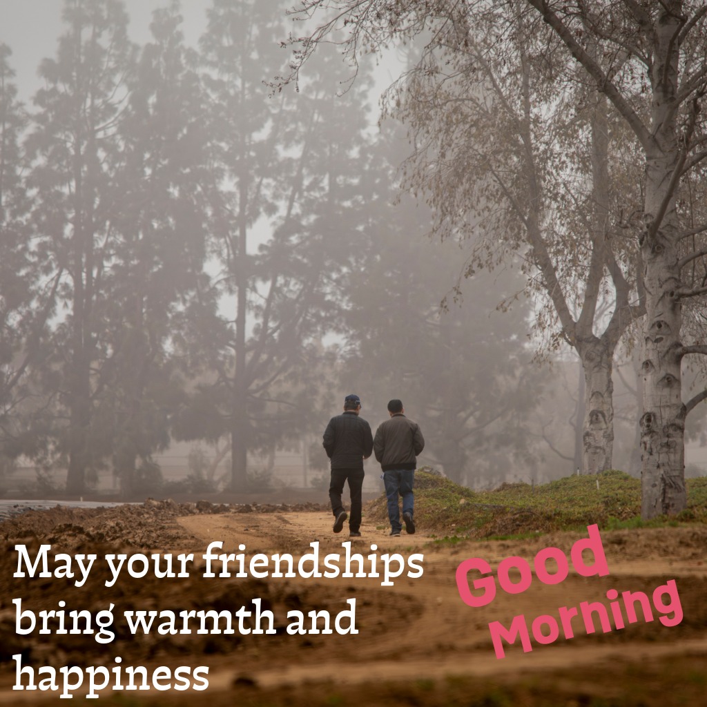 Friendship Blessings Image | Good Morning Images quotes and wishes