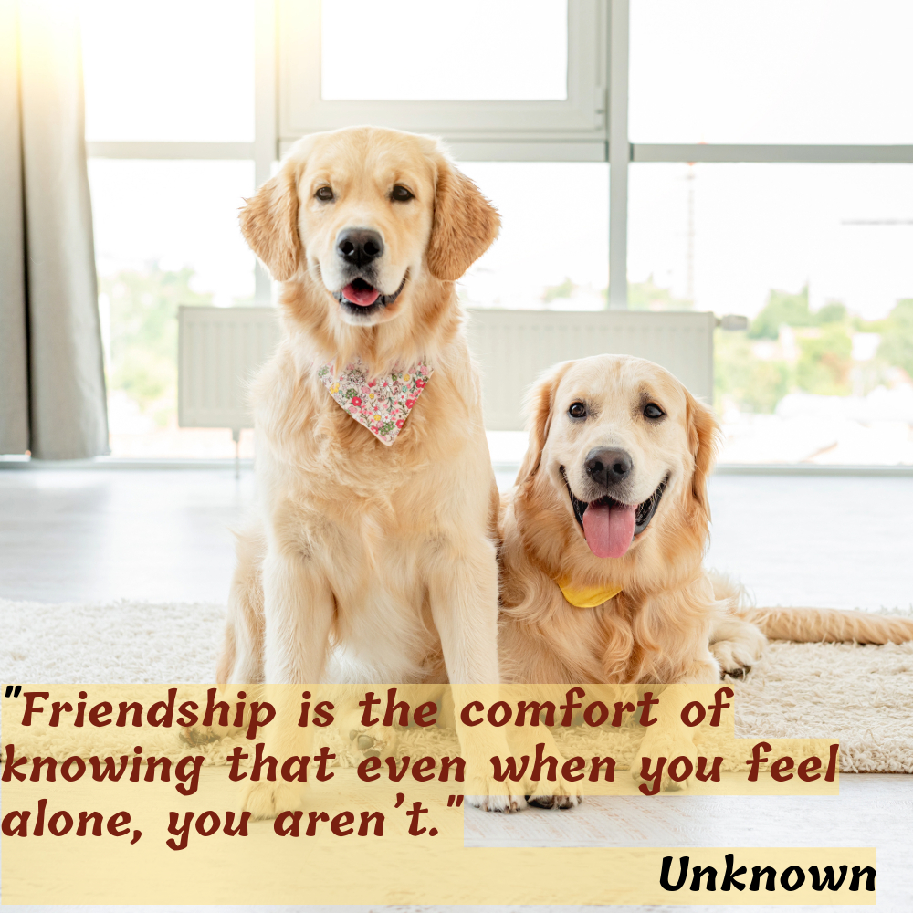 Friendship Quotes Images | Friendship Quotes Images quotes and wishes