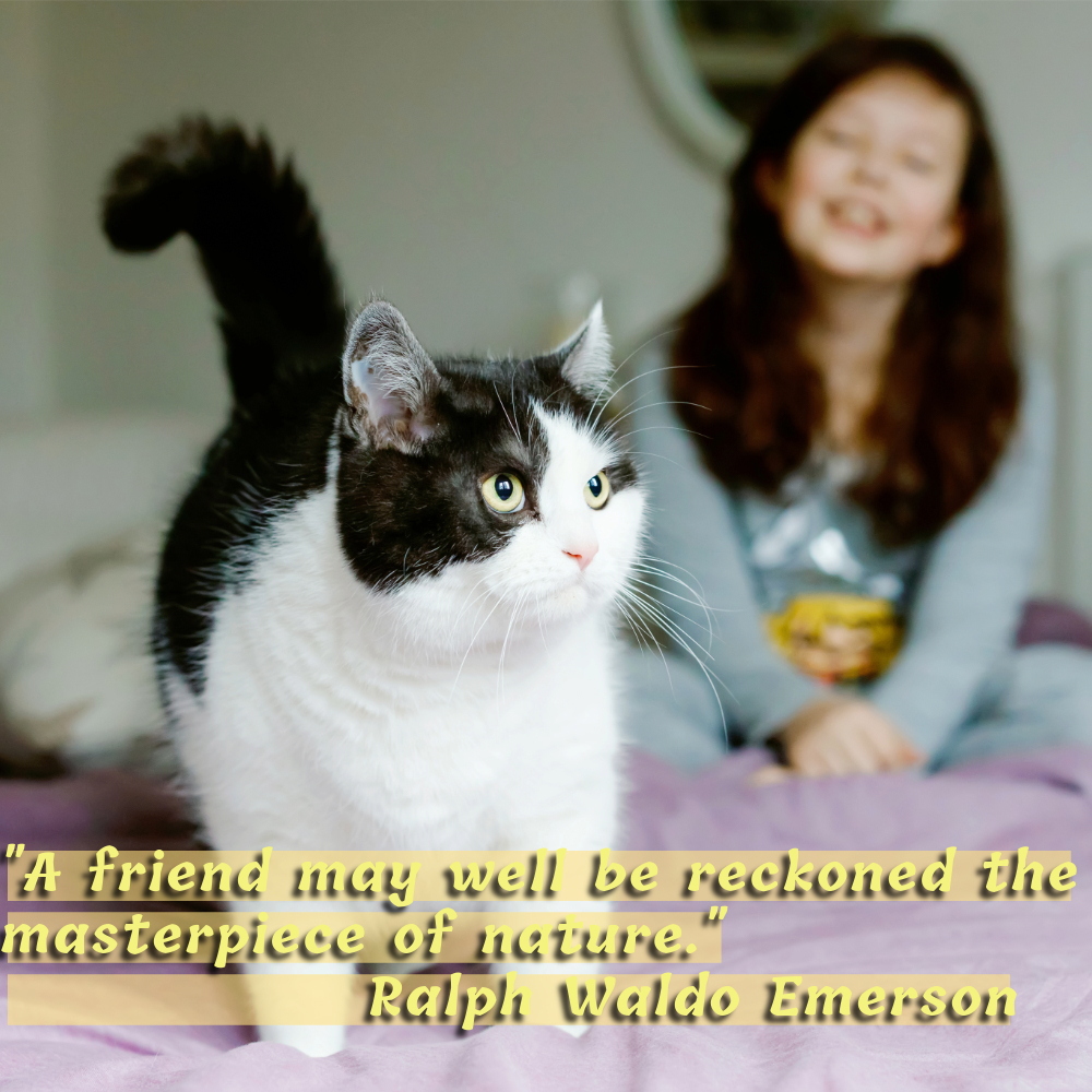 Friendship Quotes Images | Friendship Quotes Images quotes and wishes