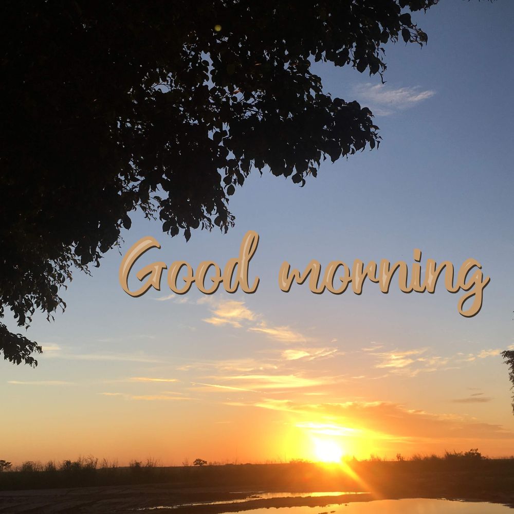 Good Morning Images | Good Morning Images quotes and wishes