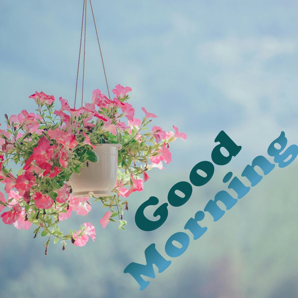 Good Morning Images | Good Morning Images quotes and wishes