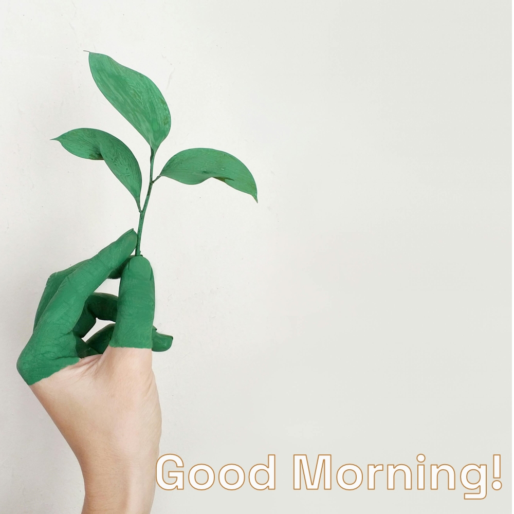 Good Morning Images | Good Morning Images quotes and wishes