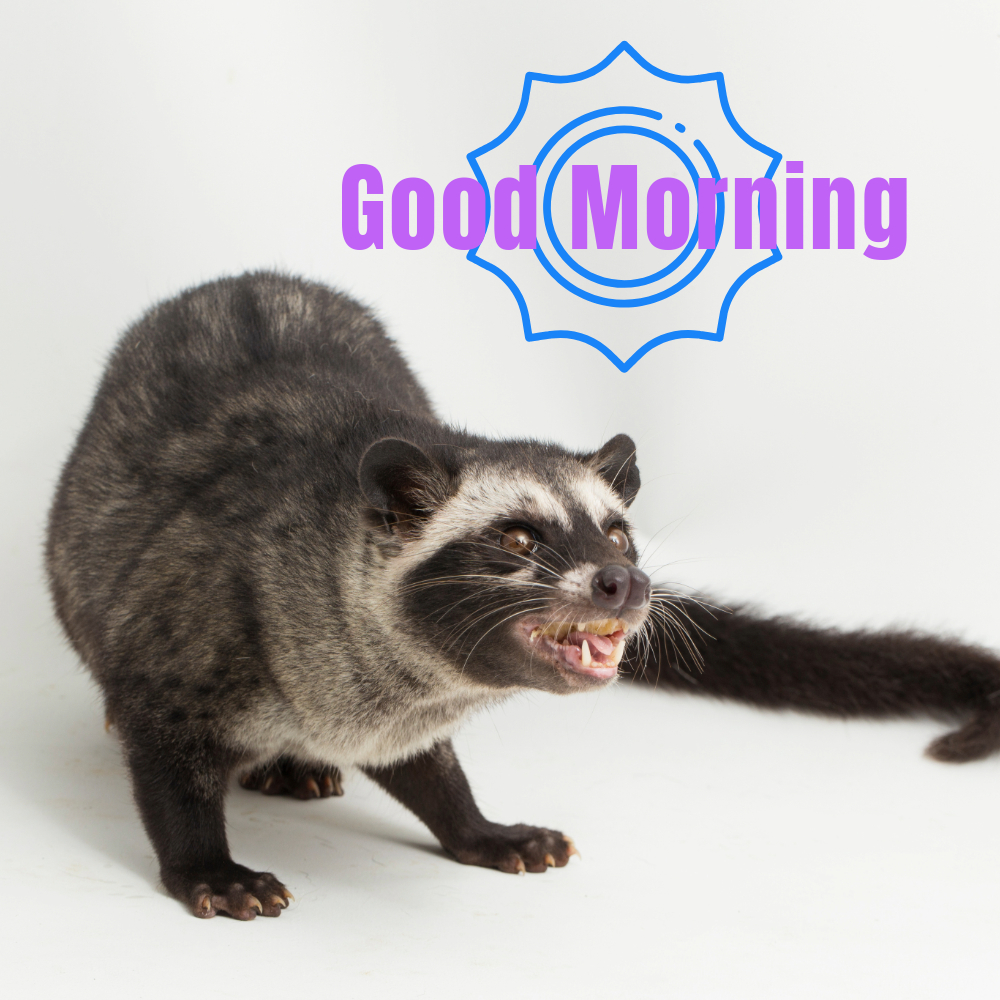 Good Morning Images | Good Morning Images quotes and wishes