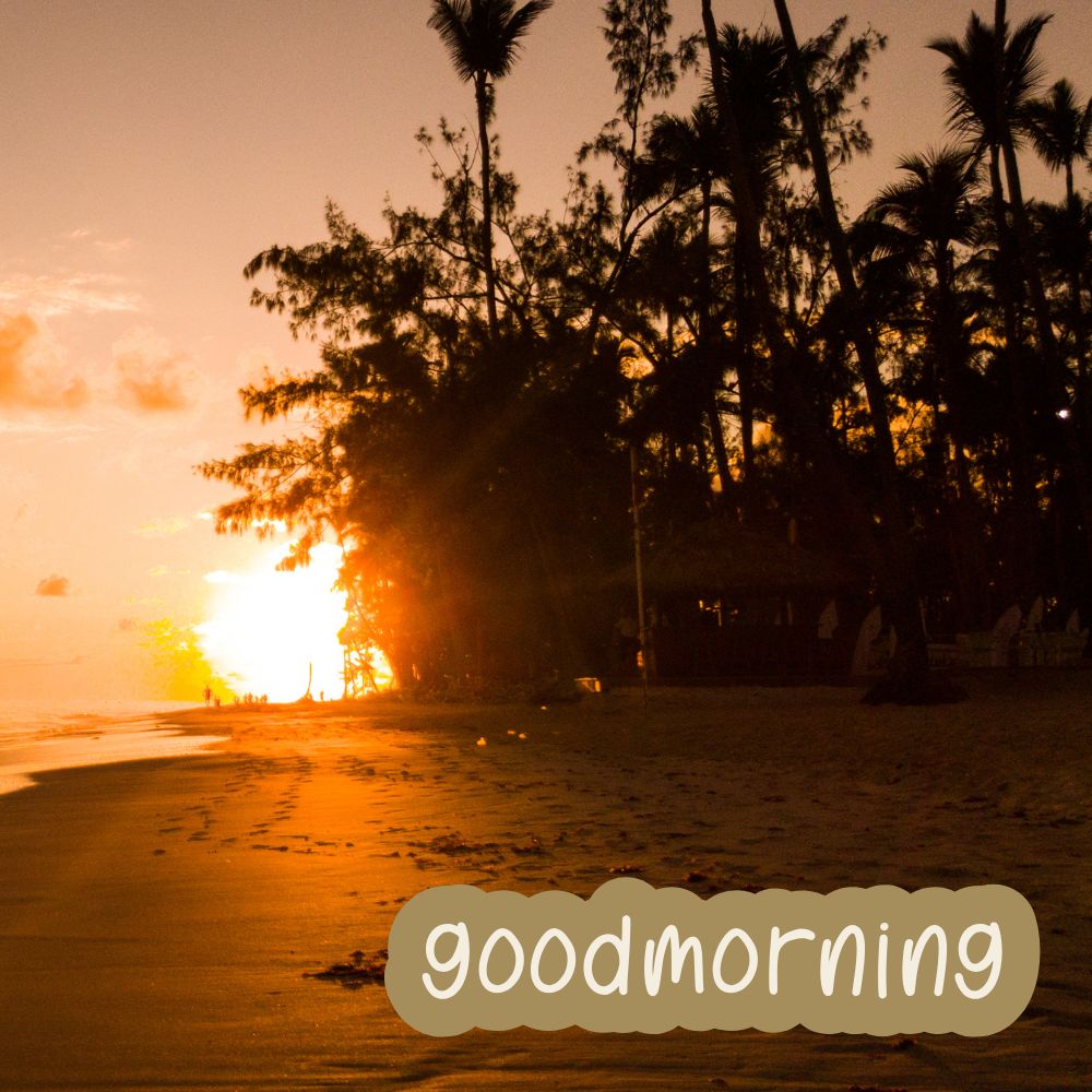 Good Morning Images | Good Morning Images quotes and wishes