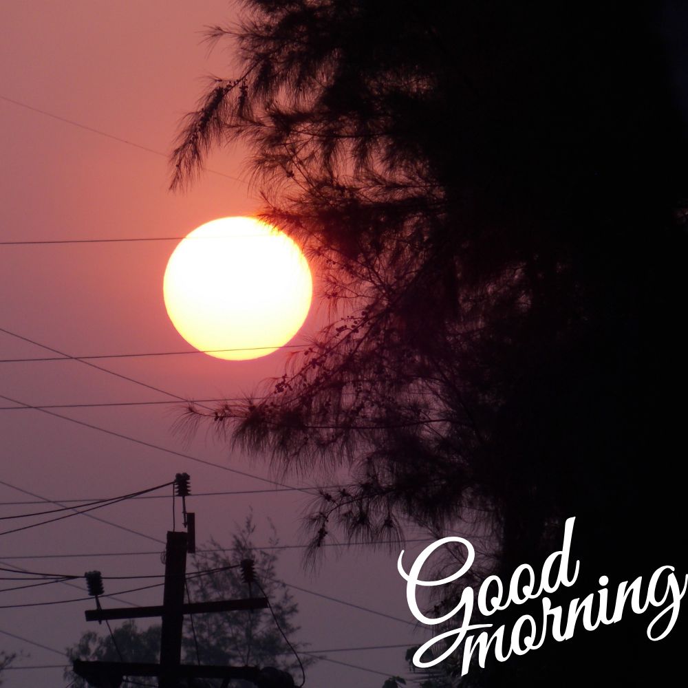 Good Morning Images | Good Morning Images quotes and wishes