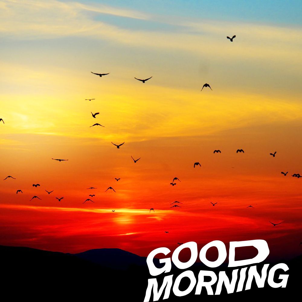 Good Morning Images | Good Morning Images quotes and wishes