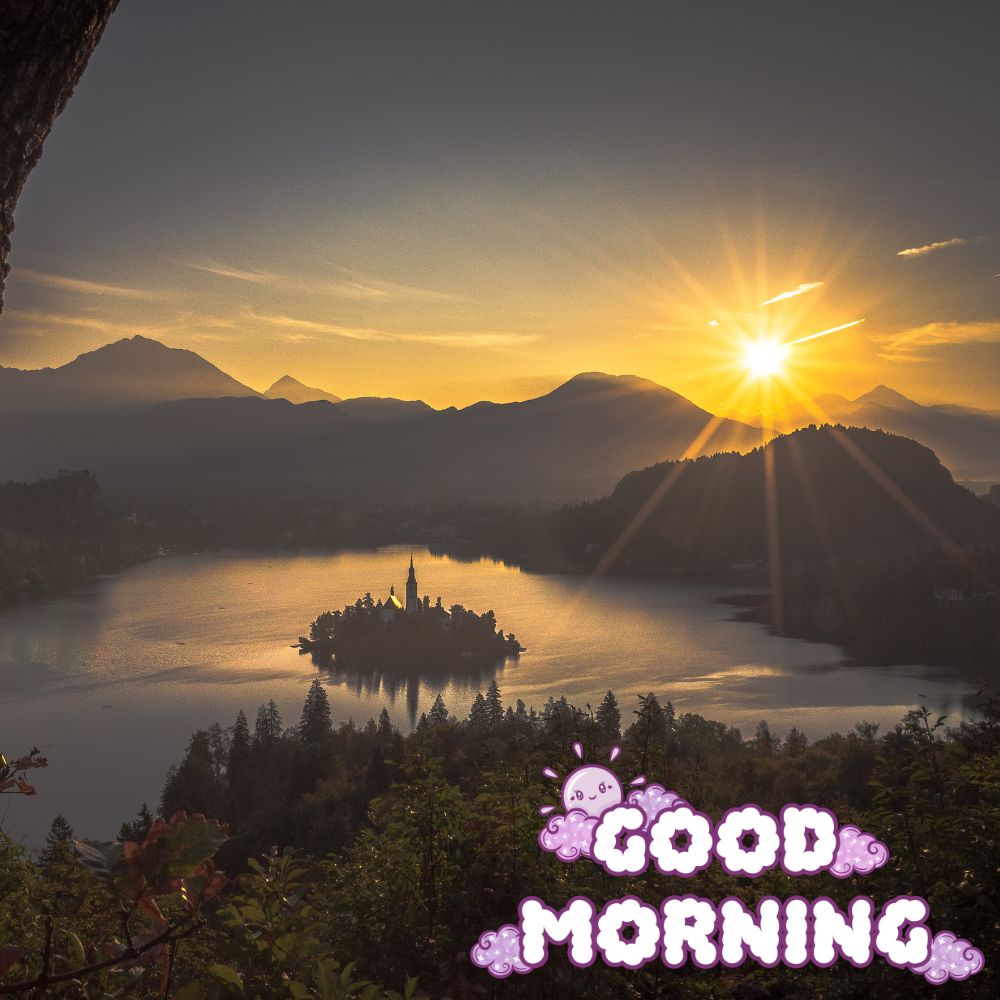 Good Morning Images | Good Morning Images quotes and wishes