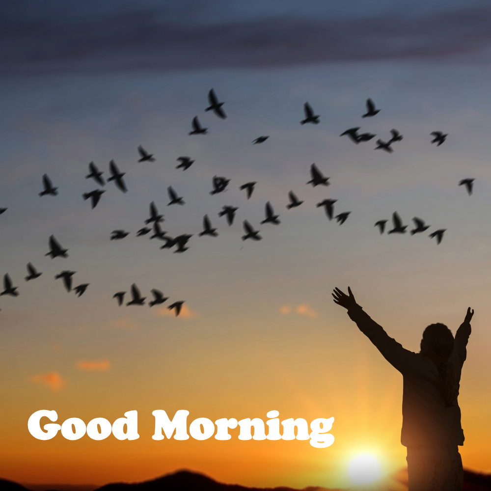Good Morning Images | Good Morning Images quotes and wishes