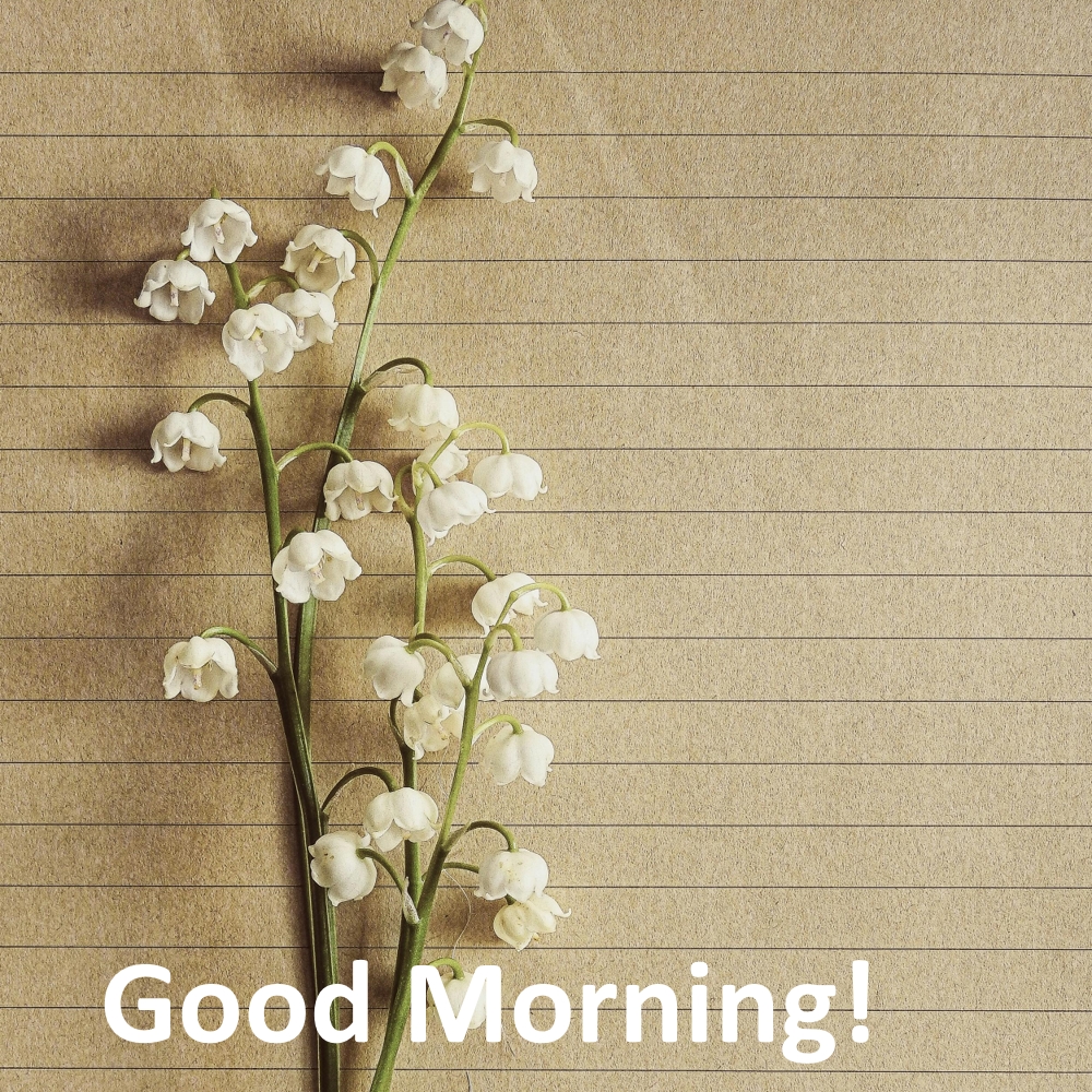 Good Morning Images | Good Morning Images quotes and wishes