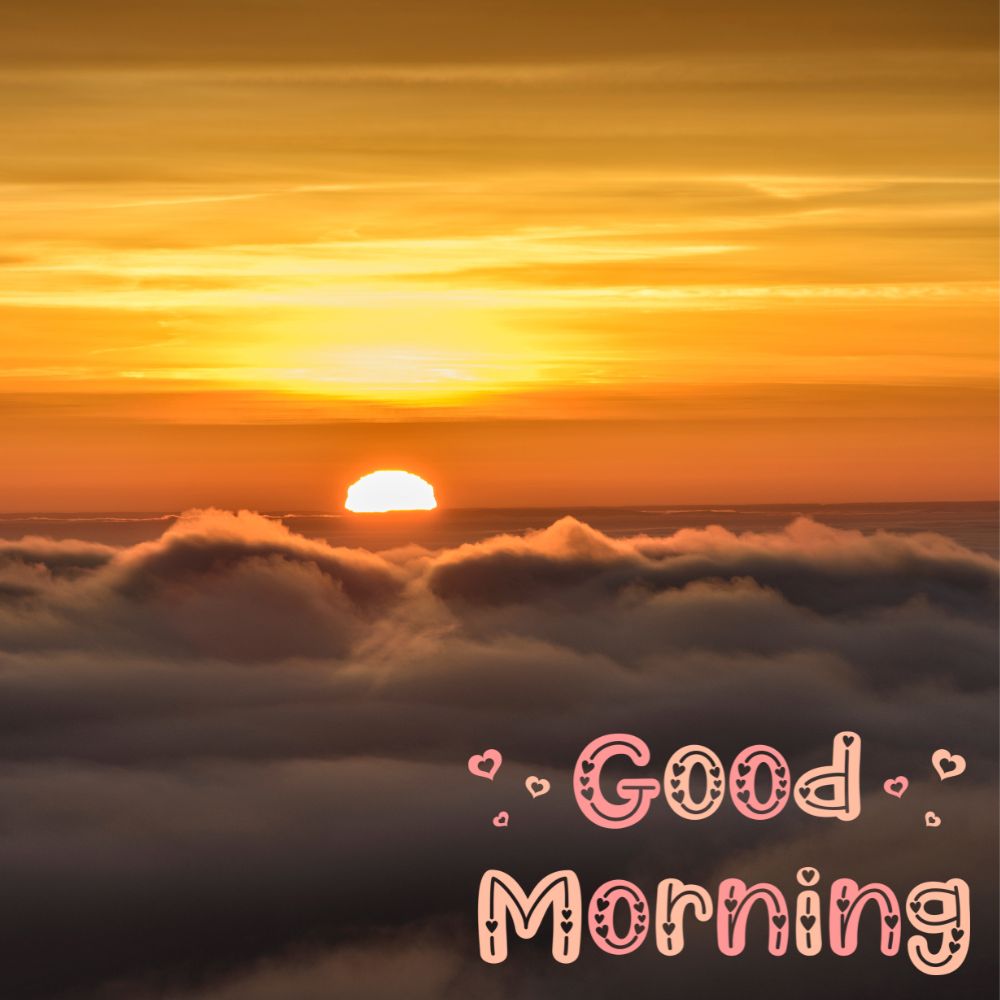 Good Morning Images | Good Morning Images quotes and wishes