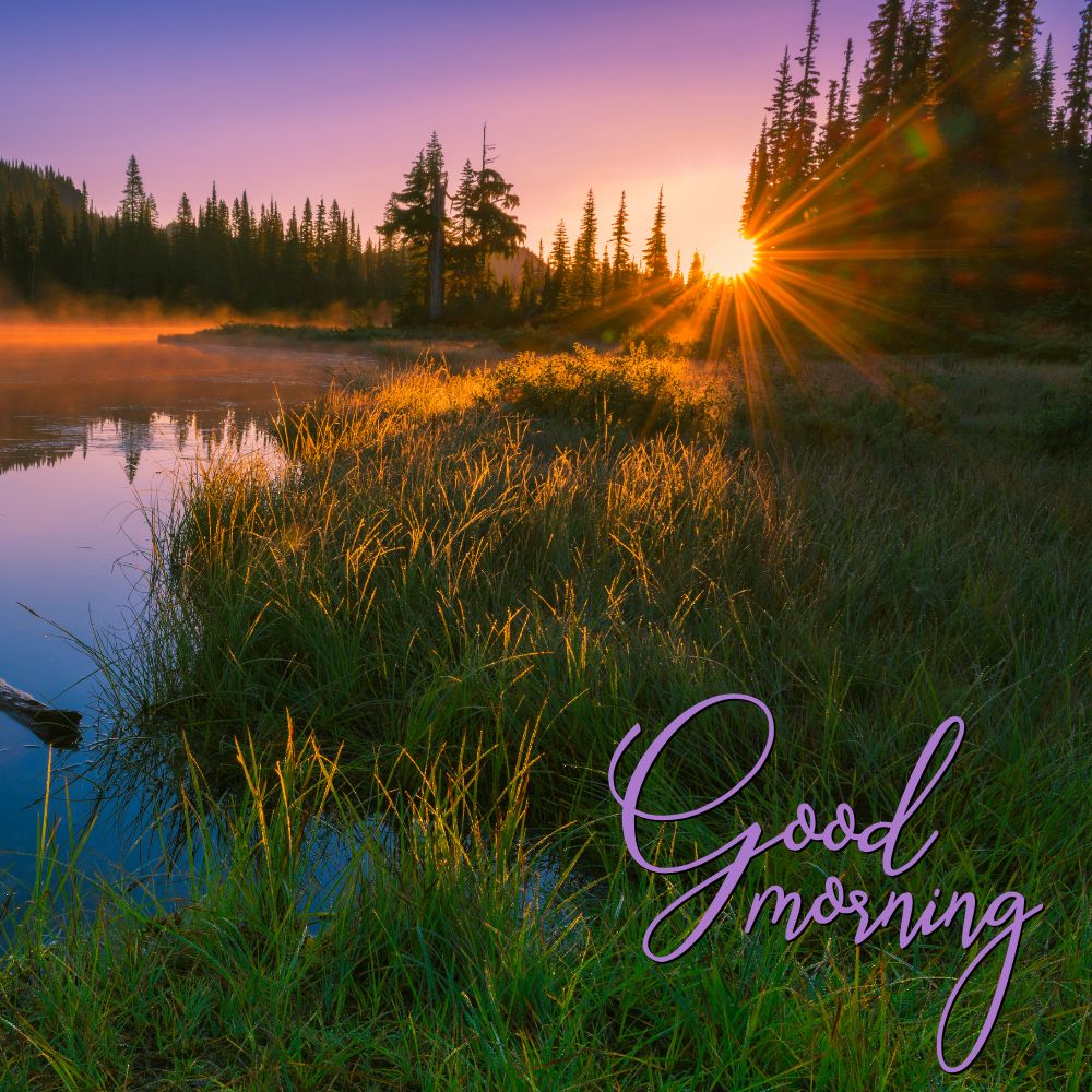 Good Morning Images | Good Morning Images quotes and wishes