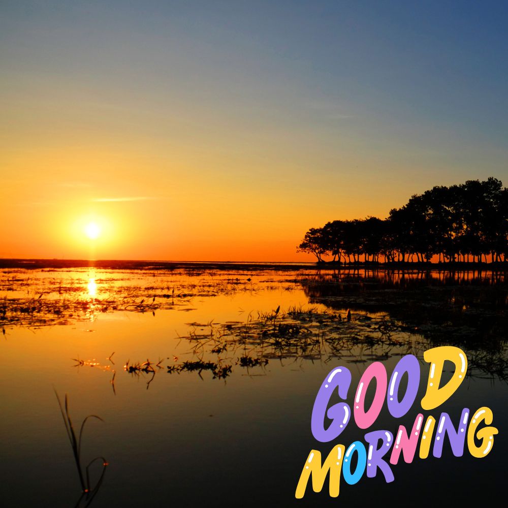 Good Morning Images | Good Morning Images quotes and wishes