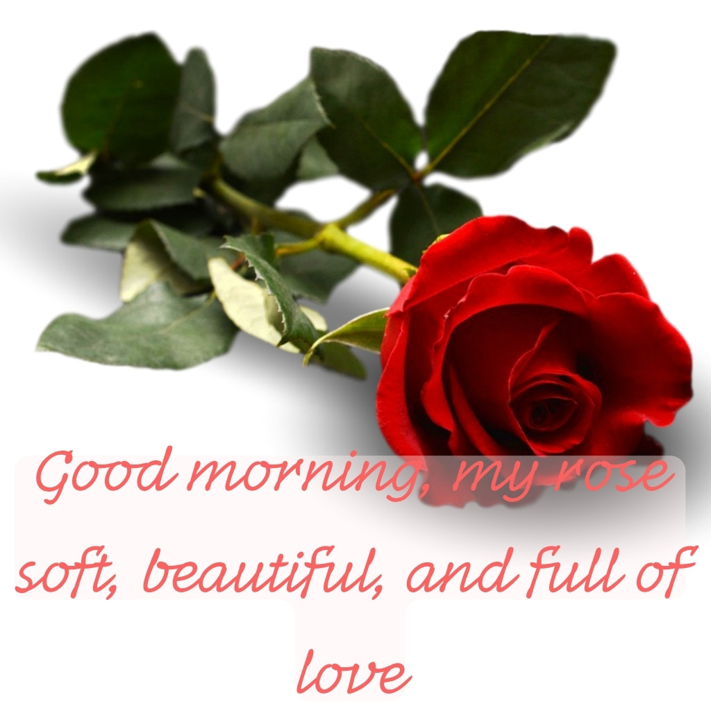 Good Morning Images Between Couples 05 | Good Morning Images Between Couples quotes and wishes