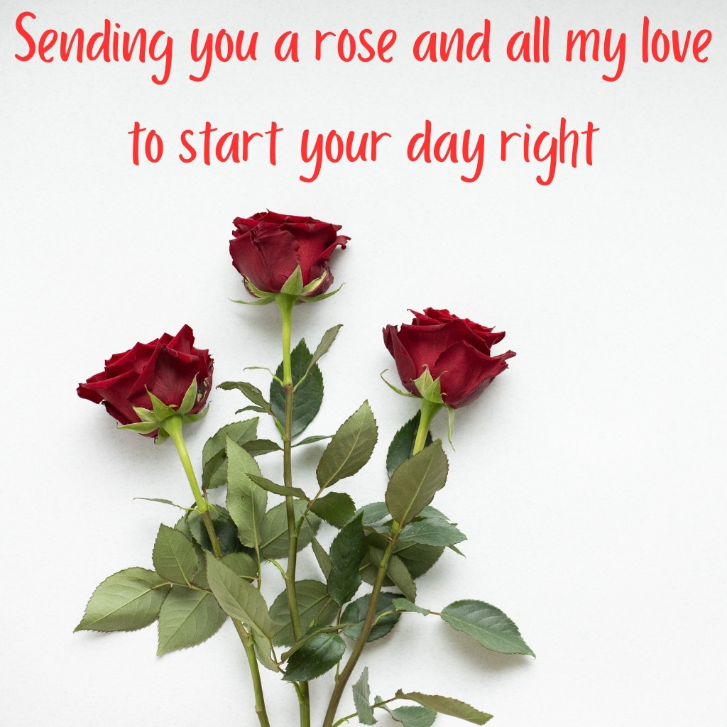 Good Morning Images Between Couples 20 | Good Morning Images Between Couples quotes and wishes
