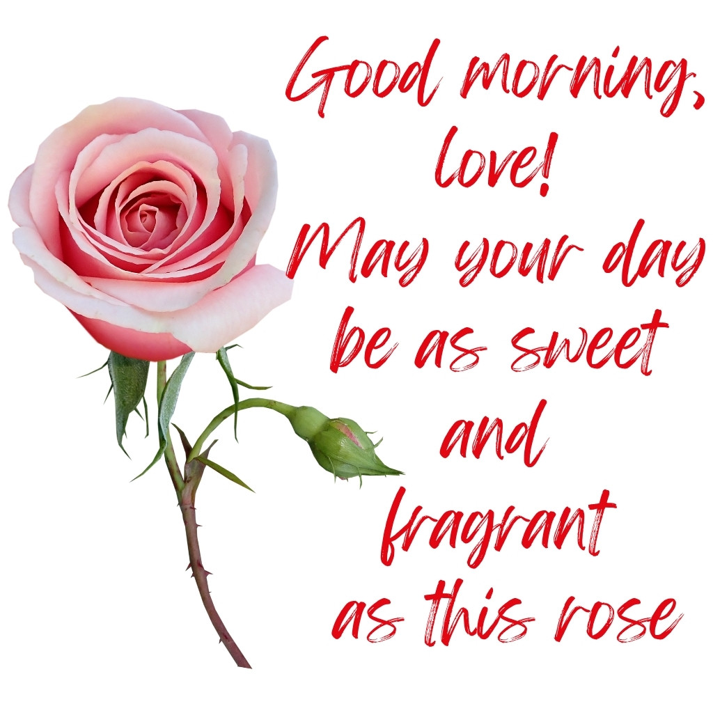 Good Morning Images Between Couples 08 | Good Morning Images Between Couples quotes and wishes