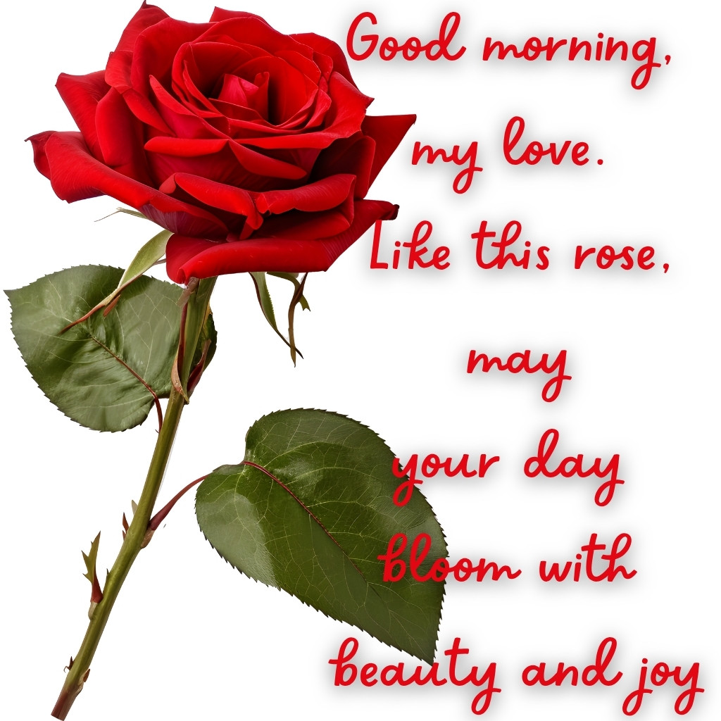 Good Morning Images Between Couples 01 | Good Morning Images Between Couples quotes and wishes