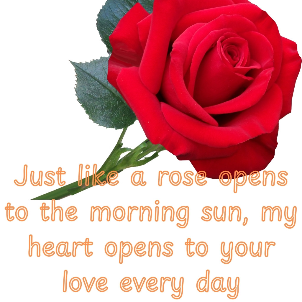 Good Morning Images Between Couples 06 | Good Morning Images Between Couples quotes and wishes