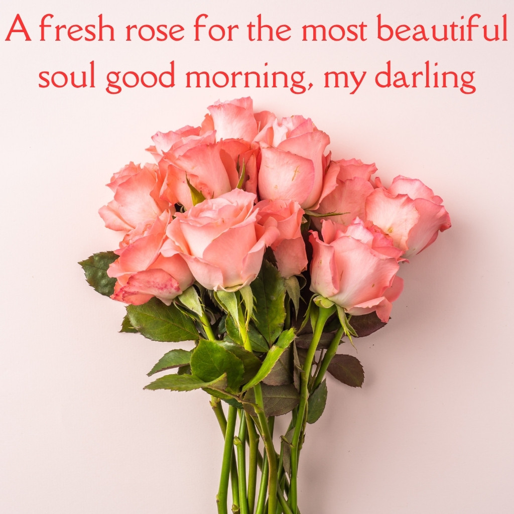 Good Morning Images Between Couples 07 | Good Morning Images Between Couples quotes and wishes