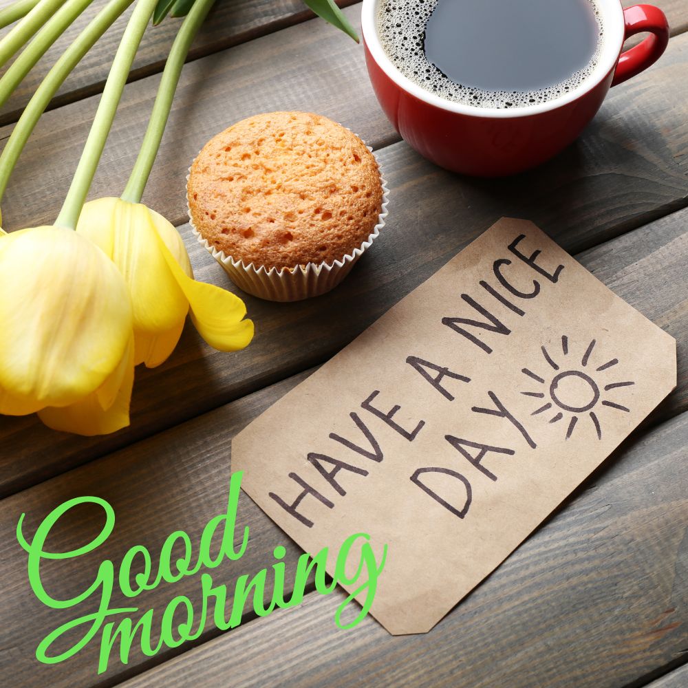 Good Morning Images | Good Morning Images quotes and wishes