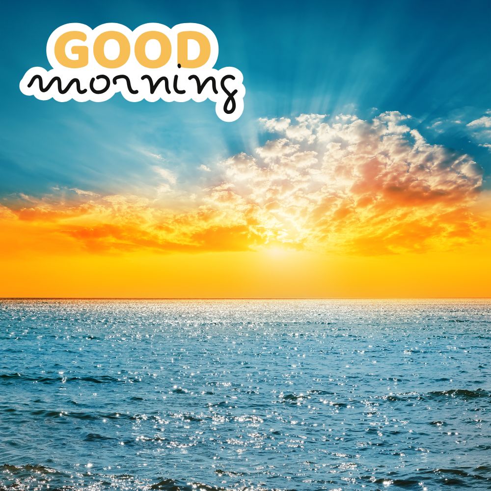 Good Morning Images | Good Morning Images quotes and wishes