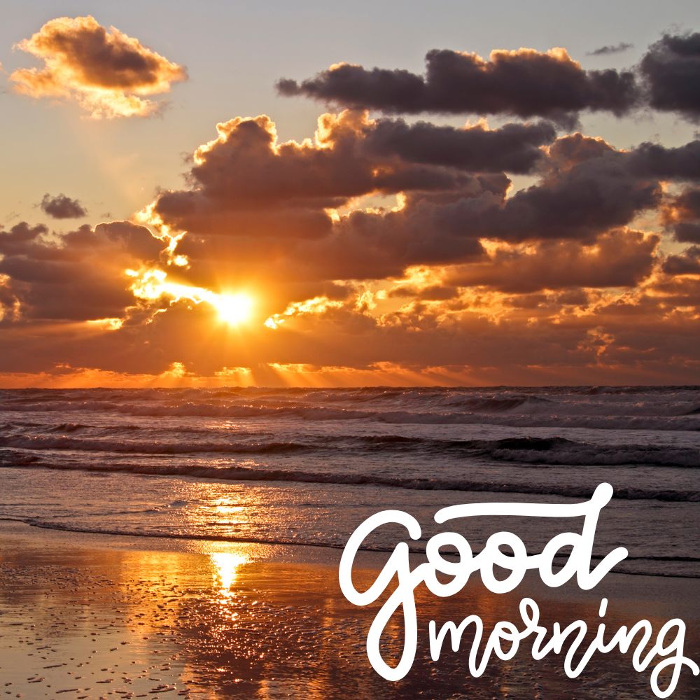 Good Morning Images | Good Morning Images quotes and wishes