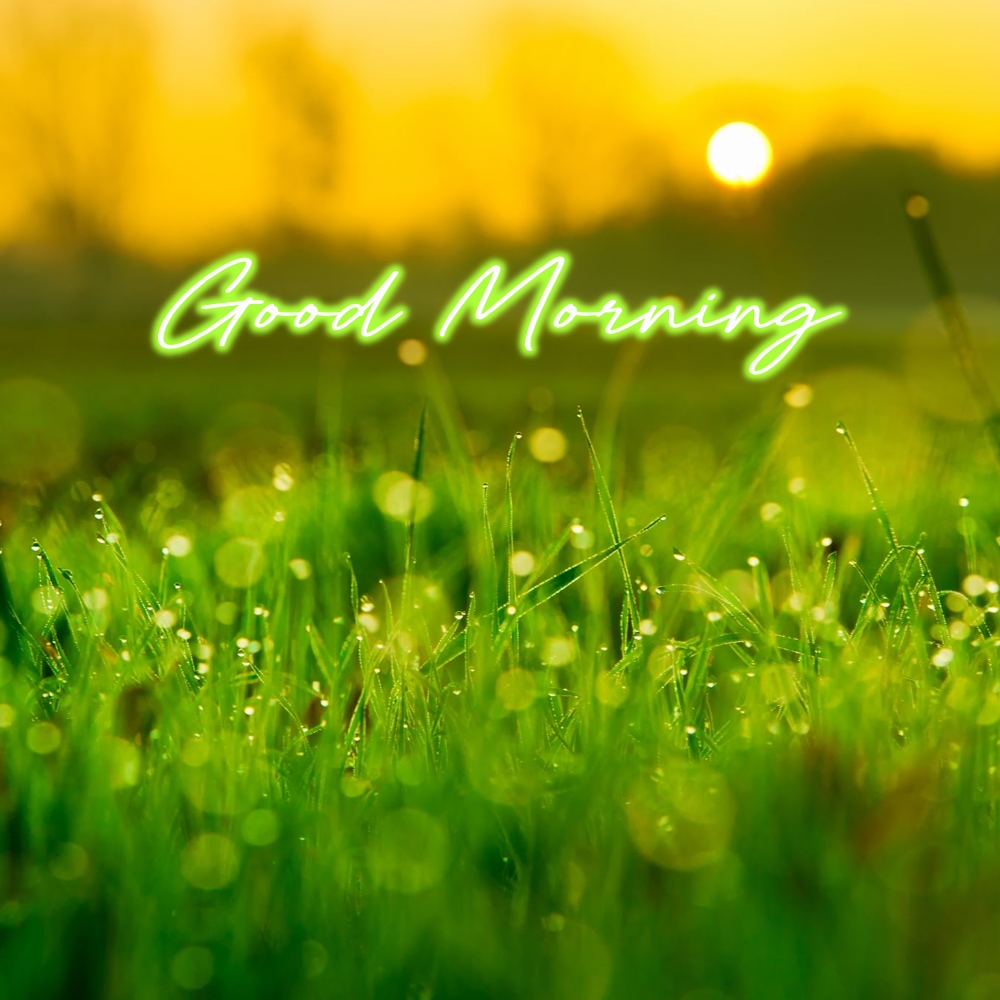 Good Morning Images | Good Morning Images quotes and wishes