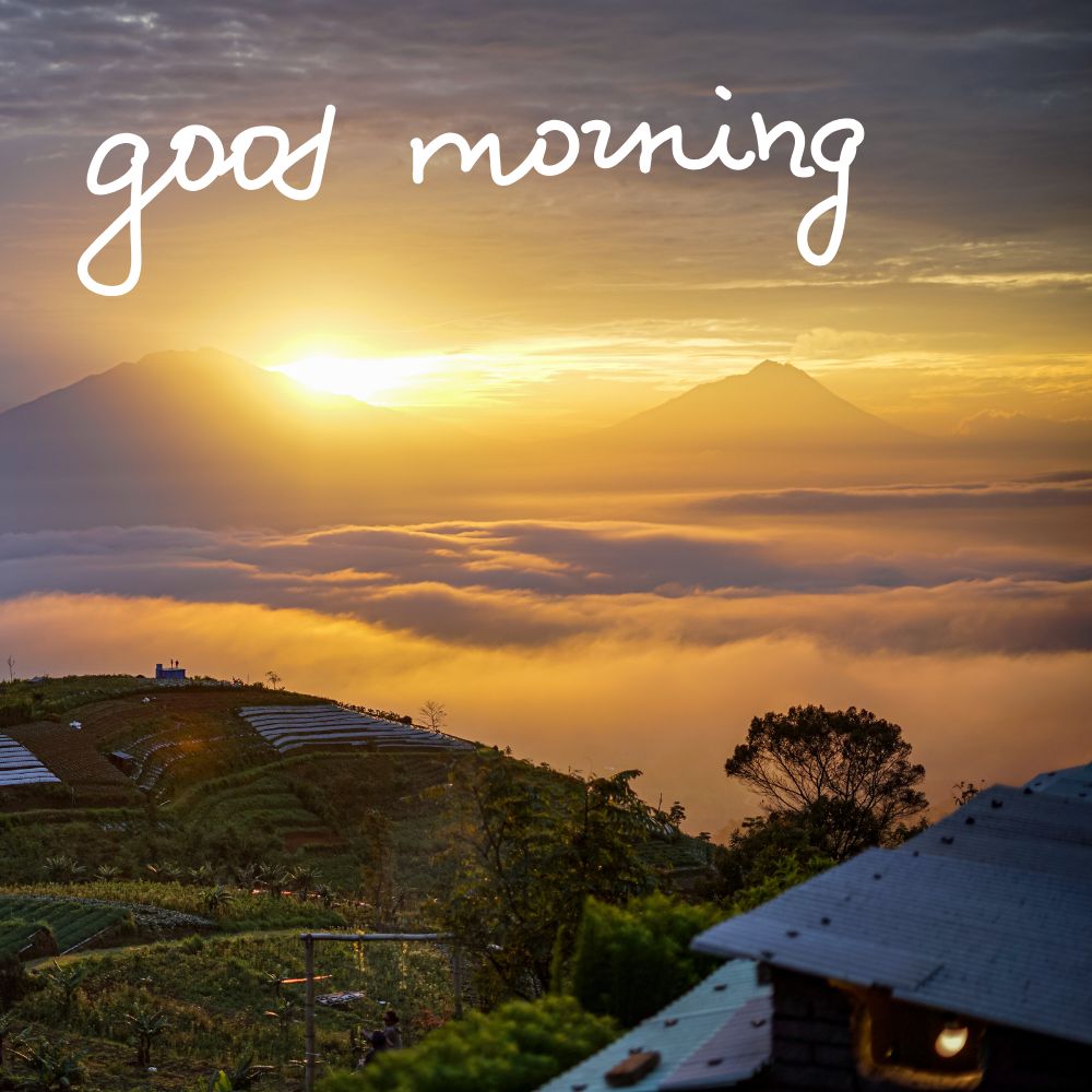 Good Morning Images | Good Morning Images quotes and wishes