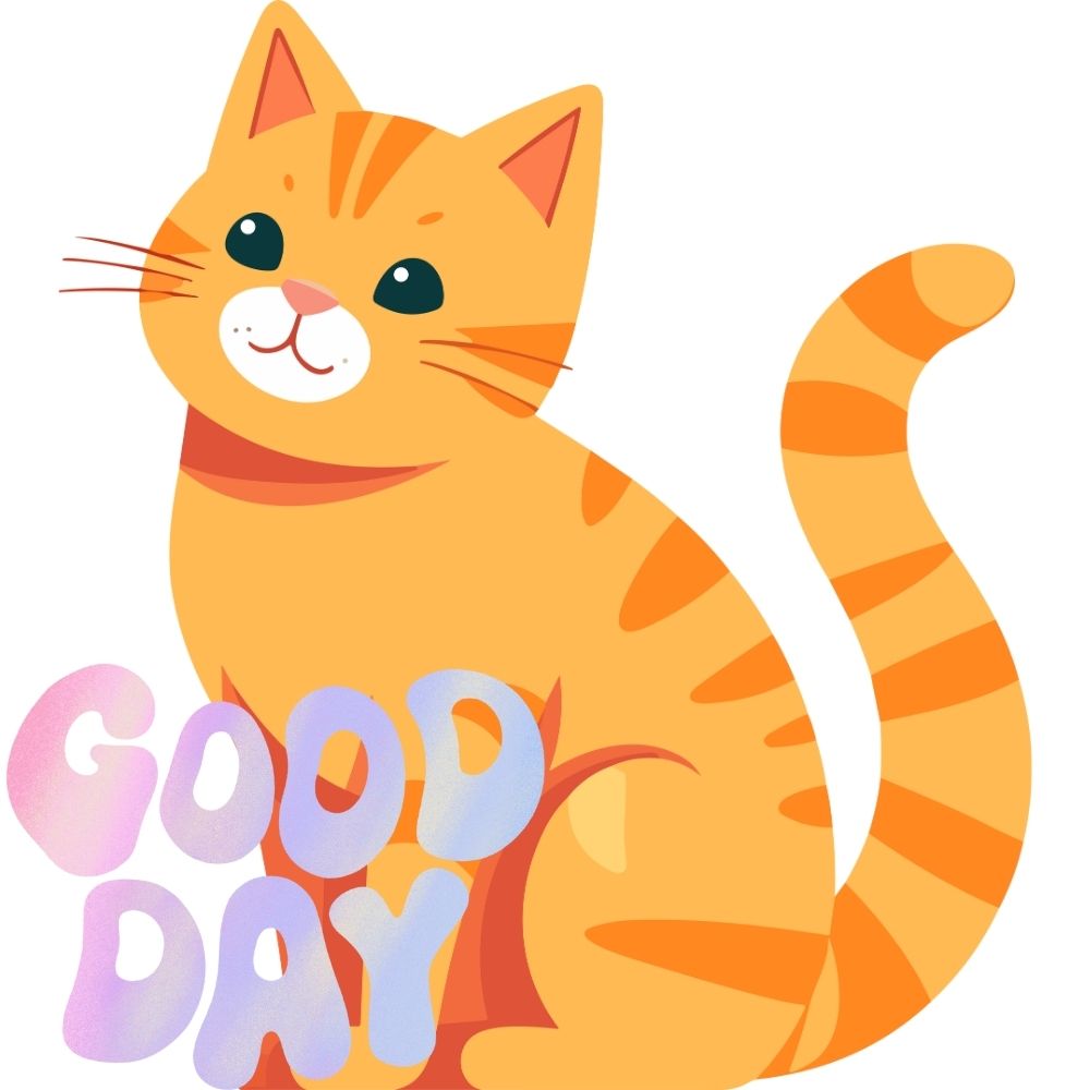 Good Morning Images With Cats | Good Morning Images With Cats quotes and wishes