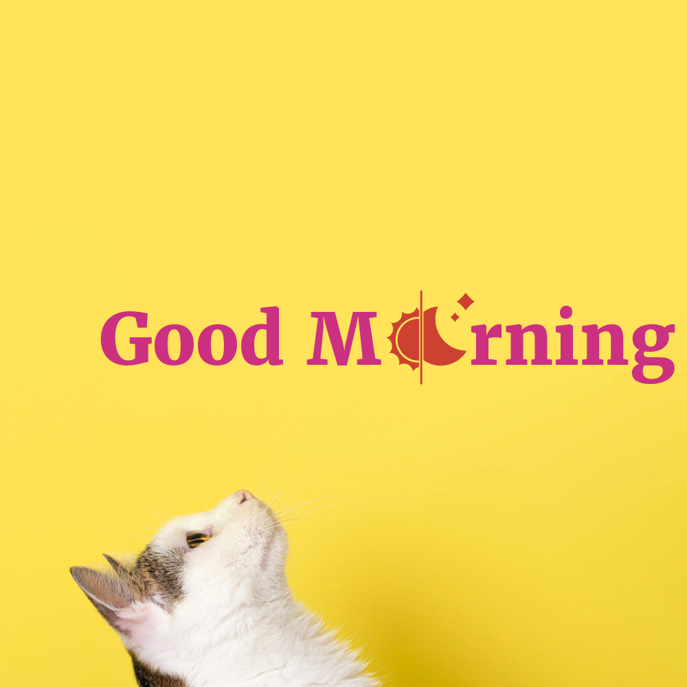 Good Morning Images With Cats | Good Morning Images With Cats quotes and wishes