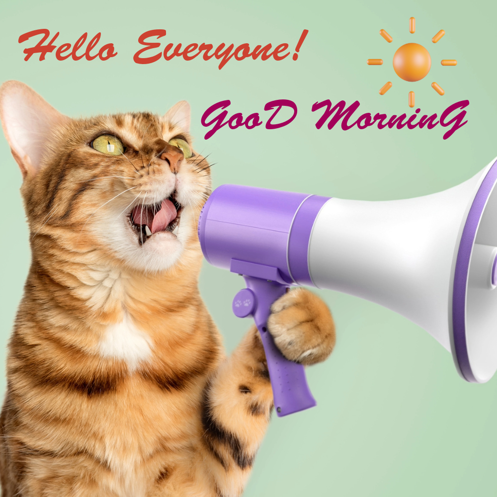 Good Morning Images With Cats | Good Morning Images With Cats quotes and wishes