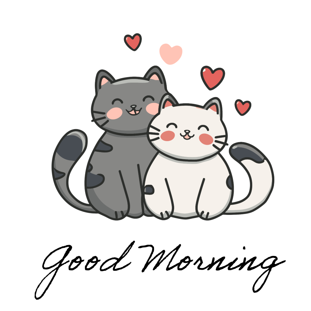 Good Morning Images With Cats | Good Morning Images With Cats quotes and wishes