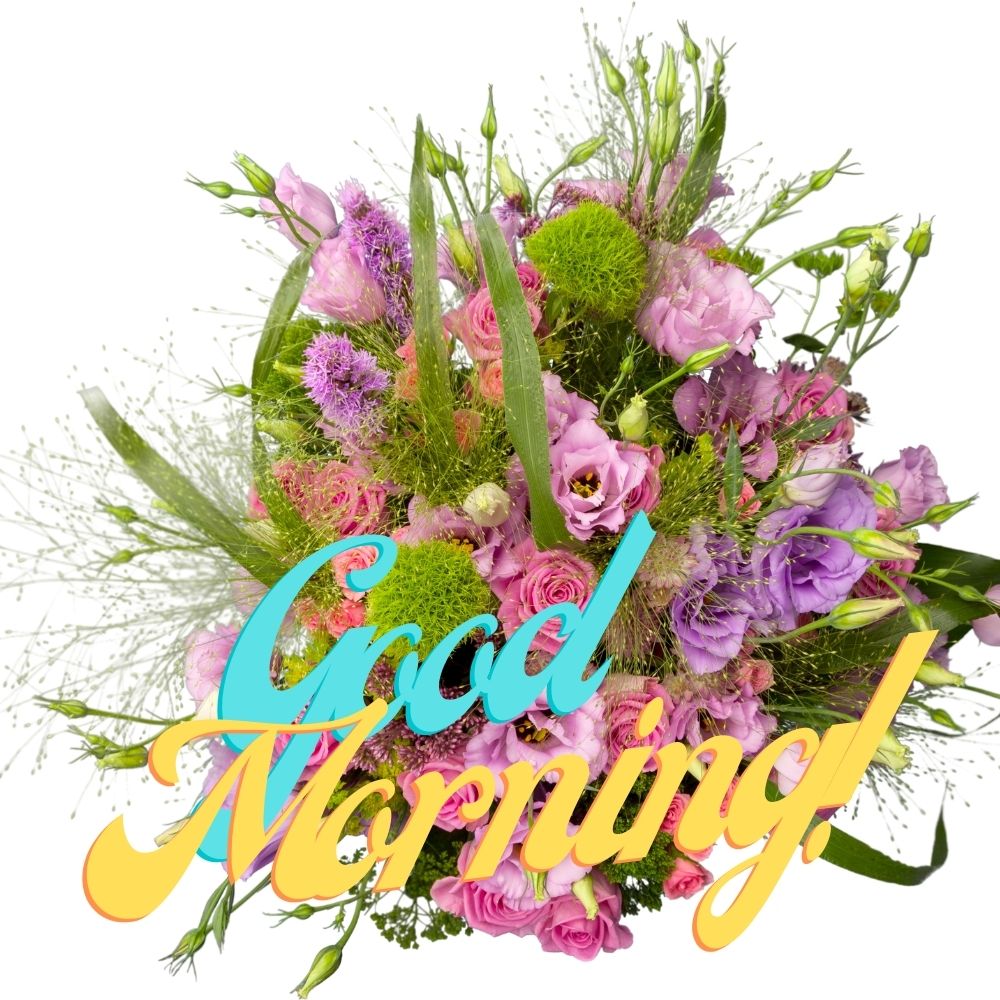 Good Morning Images With Flowers | Good Morning Images With Flowers quotes and wishes