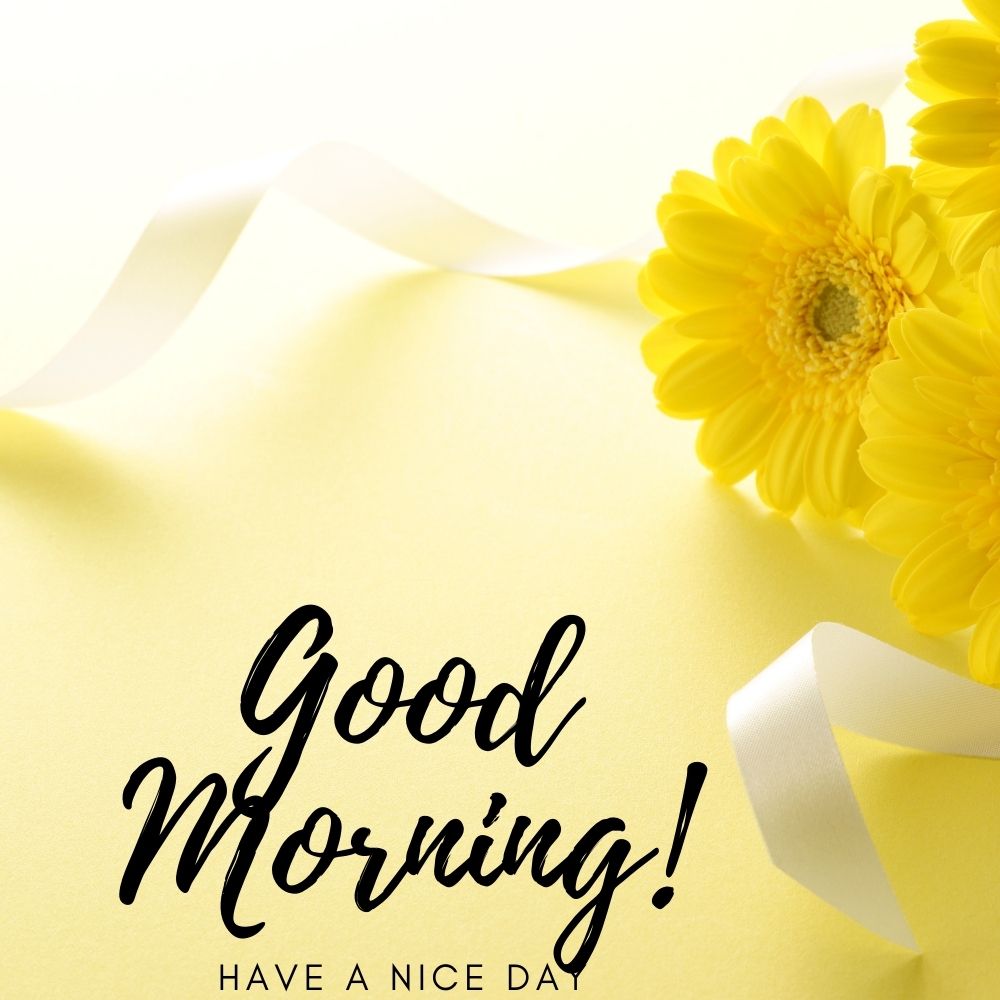 Good Morning Images With Flowers | Good Morning Images With Flowers quotes and wishes