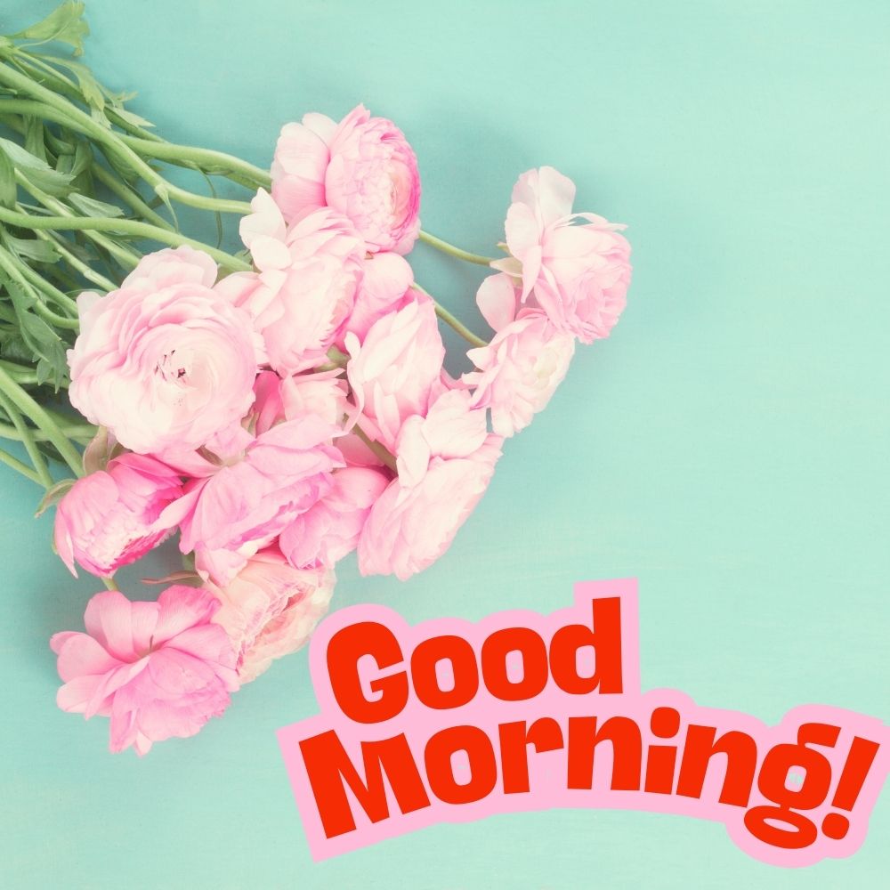 Good Morning Images With Flowers | Good Morning Images With Flowers quotes and wishes