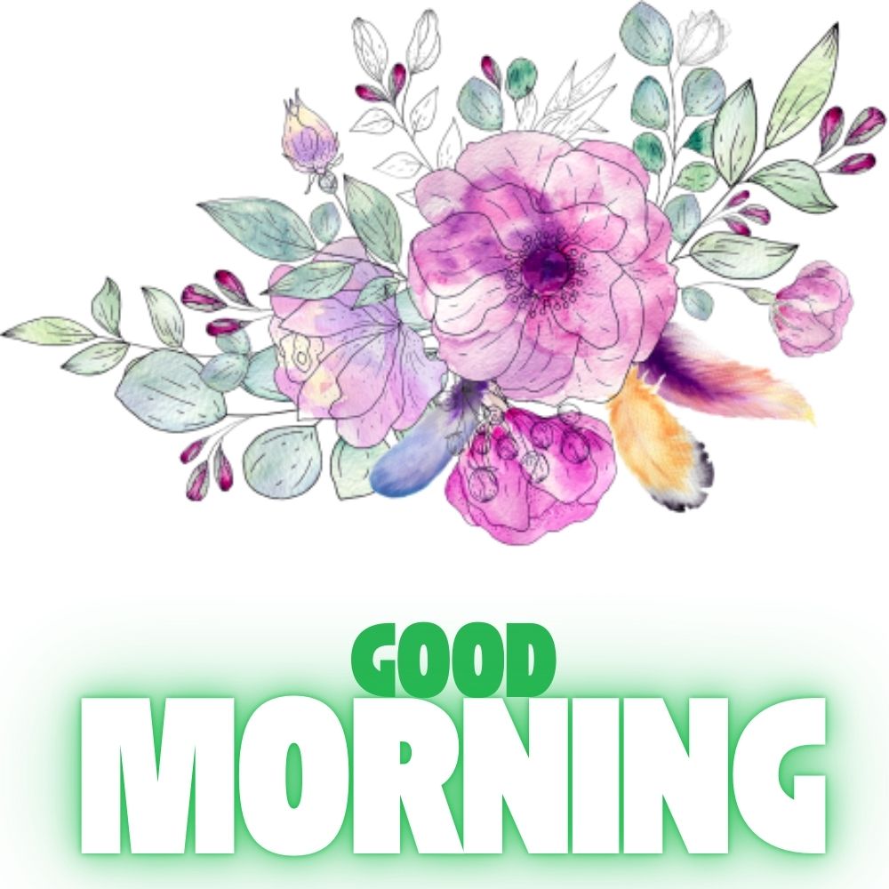 Good Morning Images With Flowers | Good Morning Images With Flowers quotes and wishes