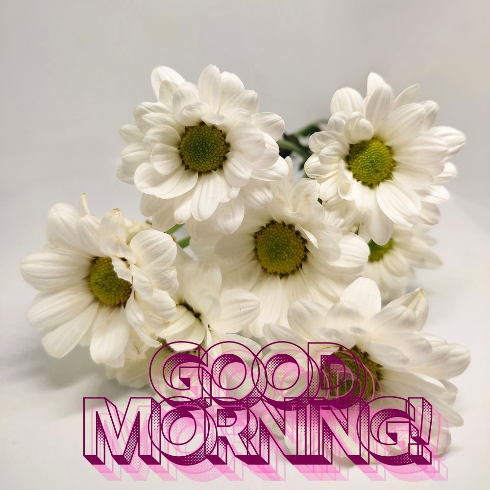 Good Morning Images With Flowers | Good Morning Images With Flowers quotes and wishes