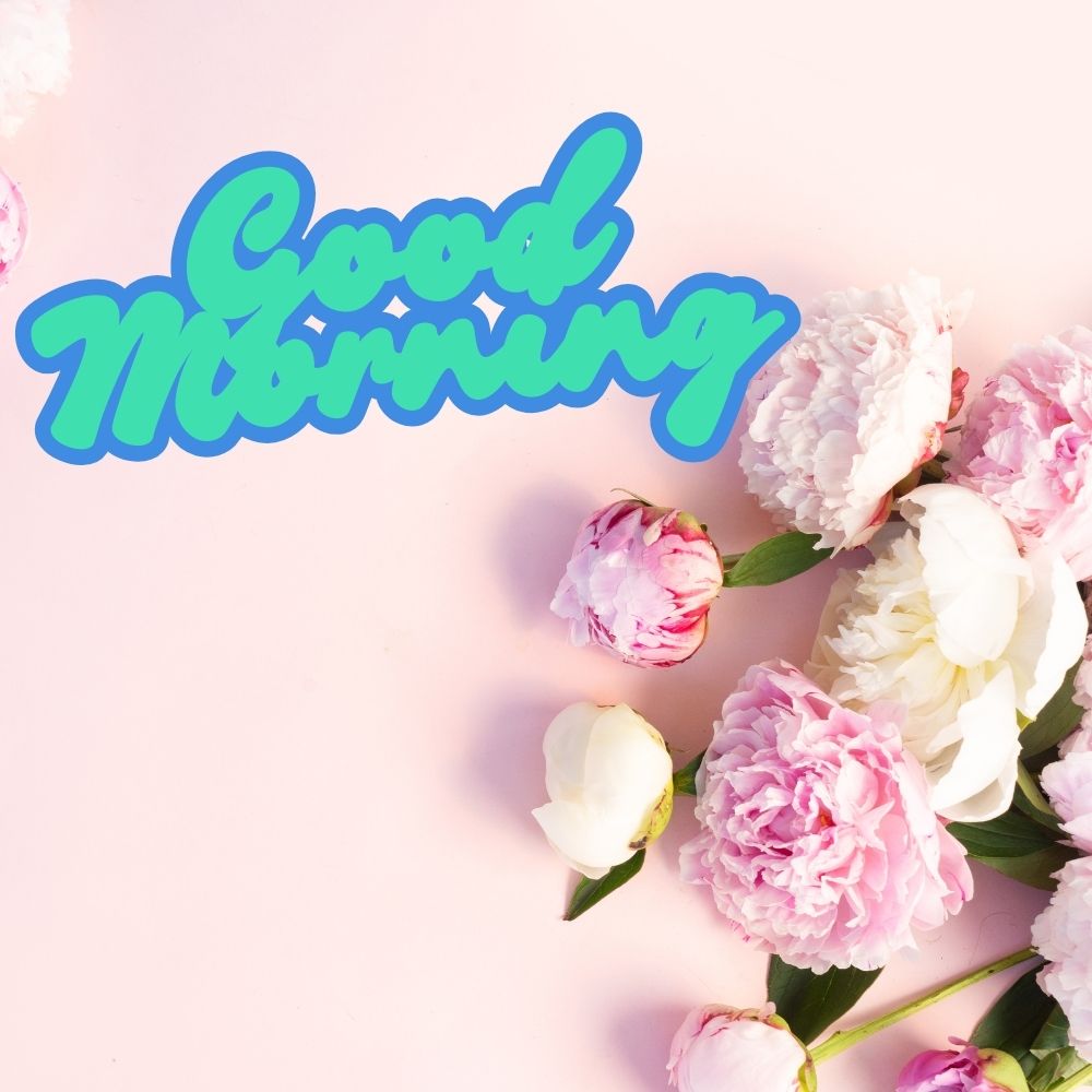 Good Morning Images With Flowers | Good Morning Images With Flowers quotes and wishes