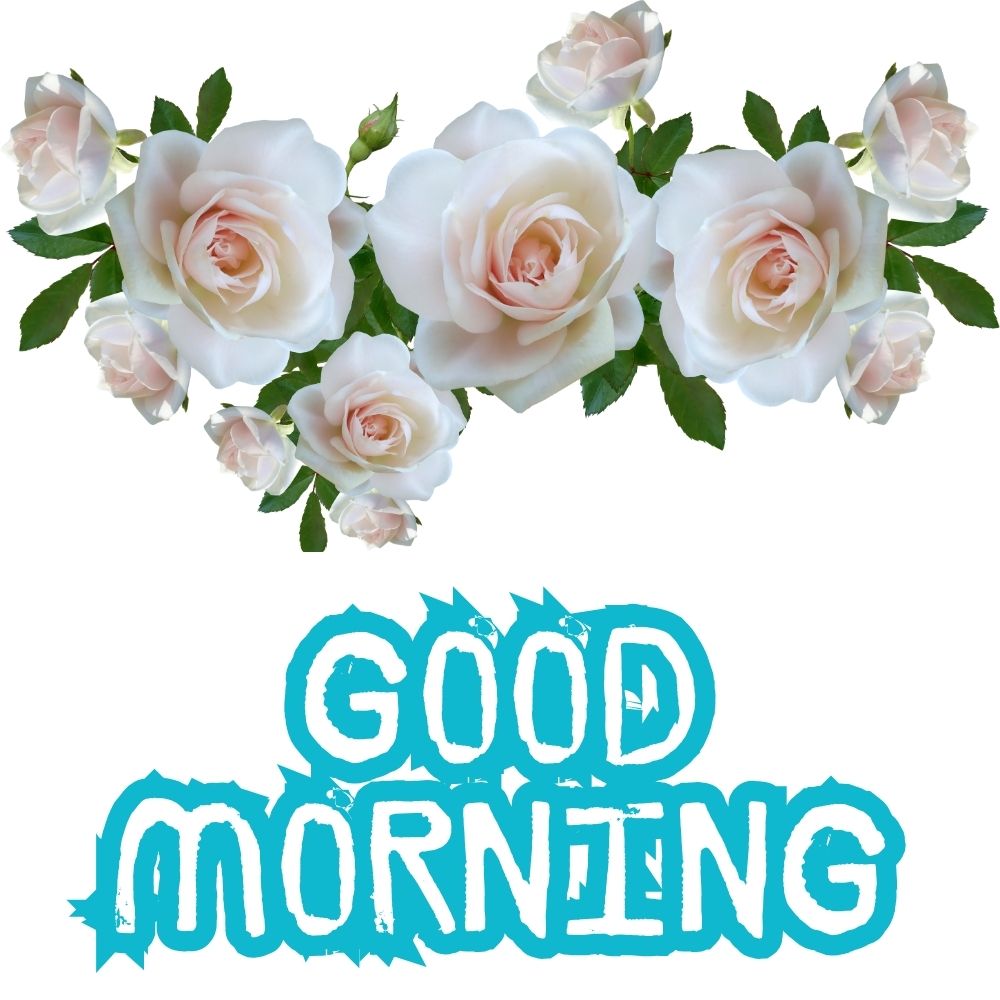 Good Morning Images With Flowers | Good Morning Images With Flowers quotes and wishes