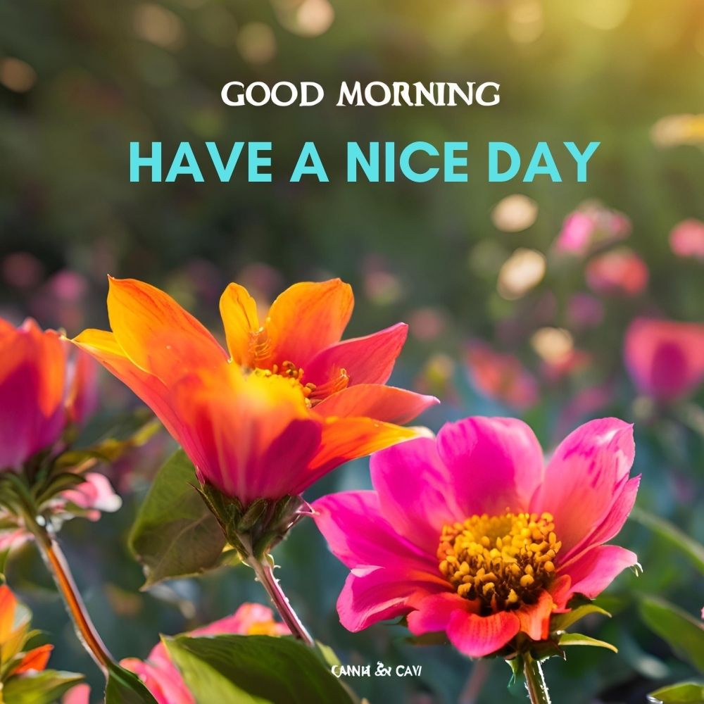 Good Morning Images With Flowers | Good Morning Images With Flowers quotes and wishes