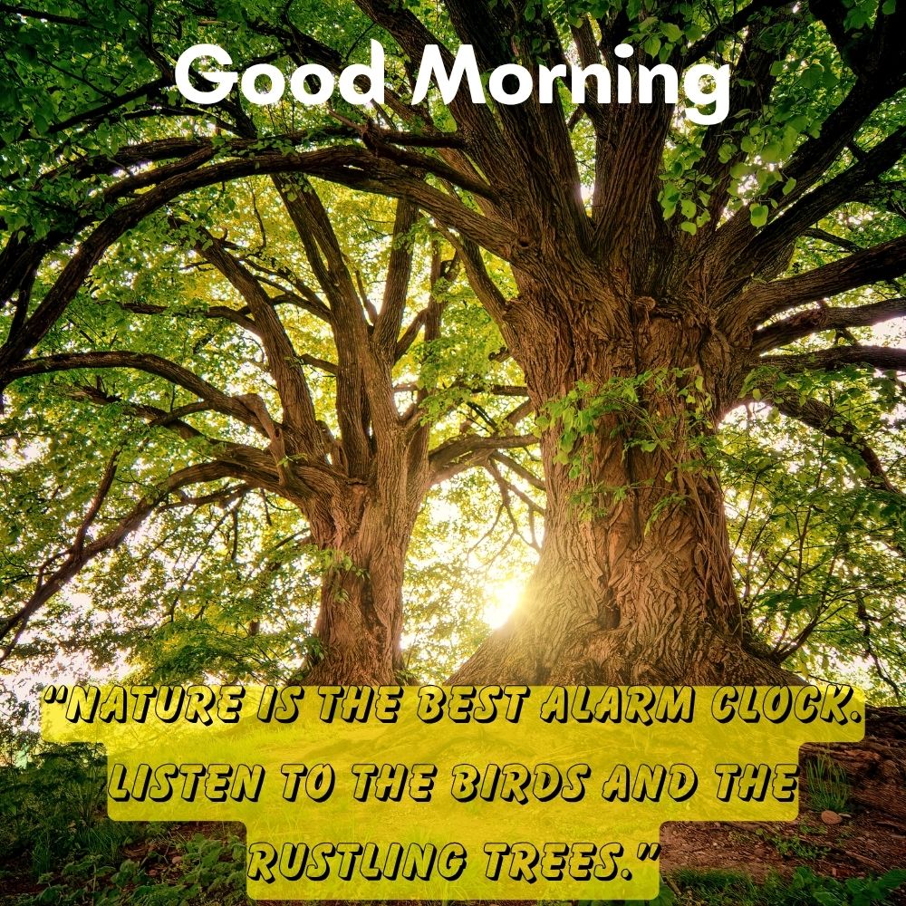 Good Morning Images With Quotes | Good Morning Images With Quotes quotes and wishes