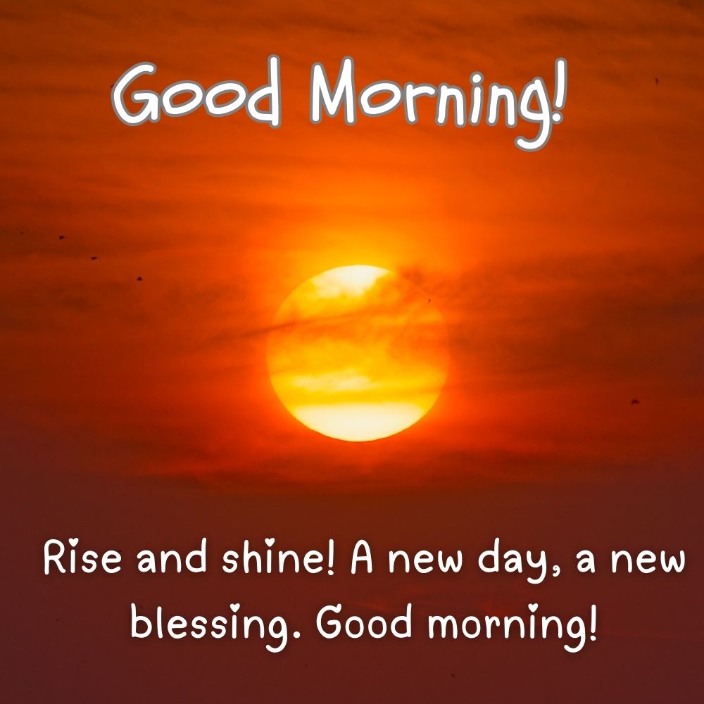 Good Morning Images with quotes | Good Morning Images With Quotes quotes and wishes