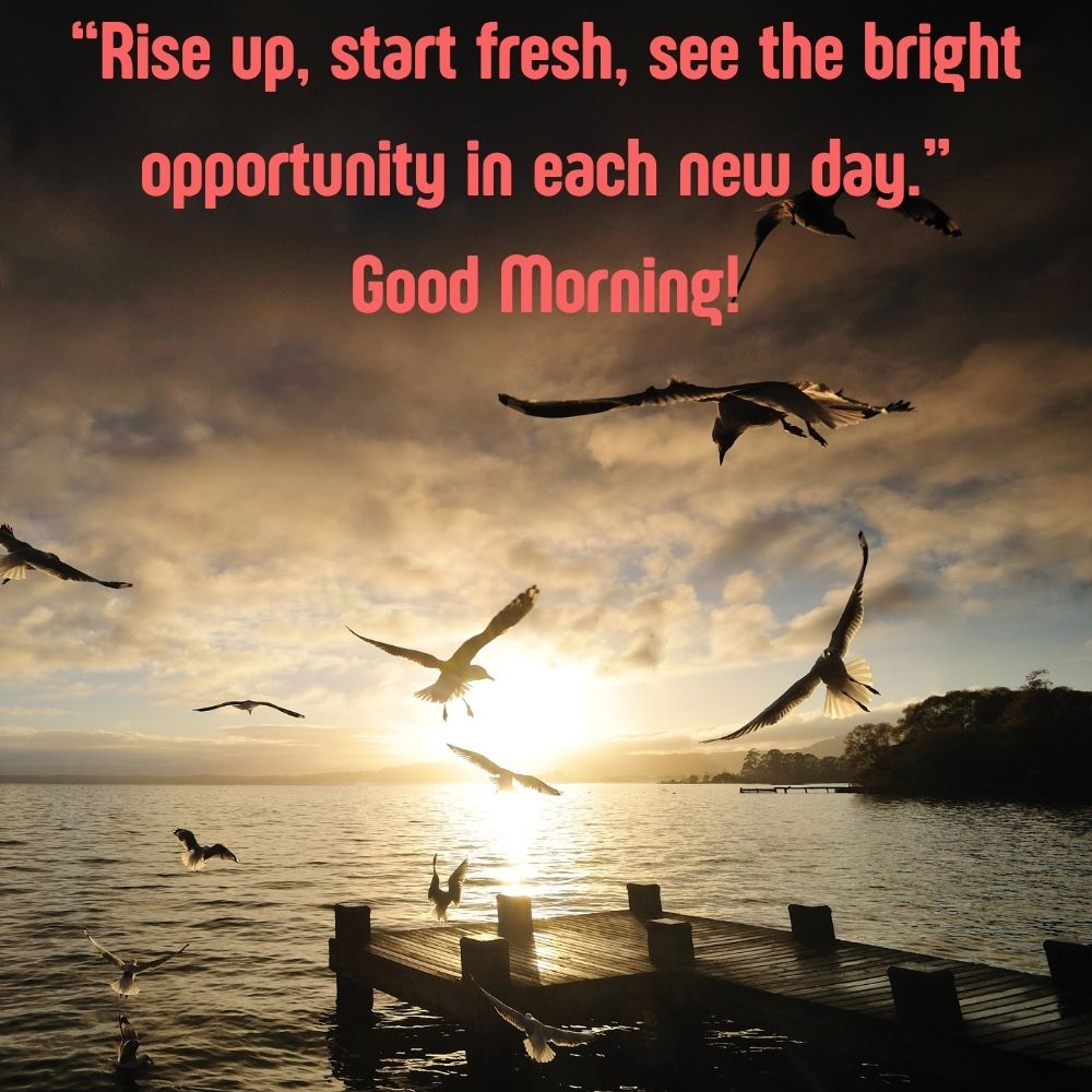 Good Morning Images With Quotes | Good Morning Images With Quotes quotes and wishes