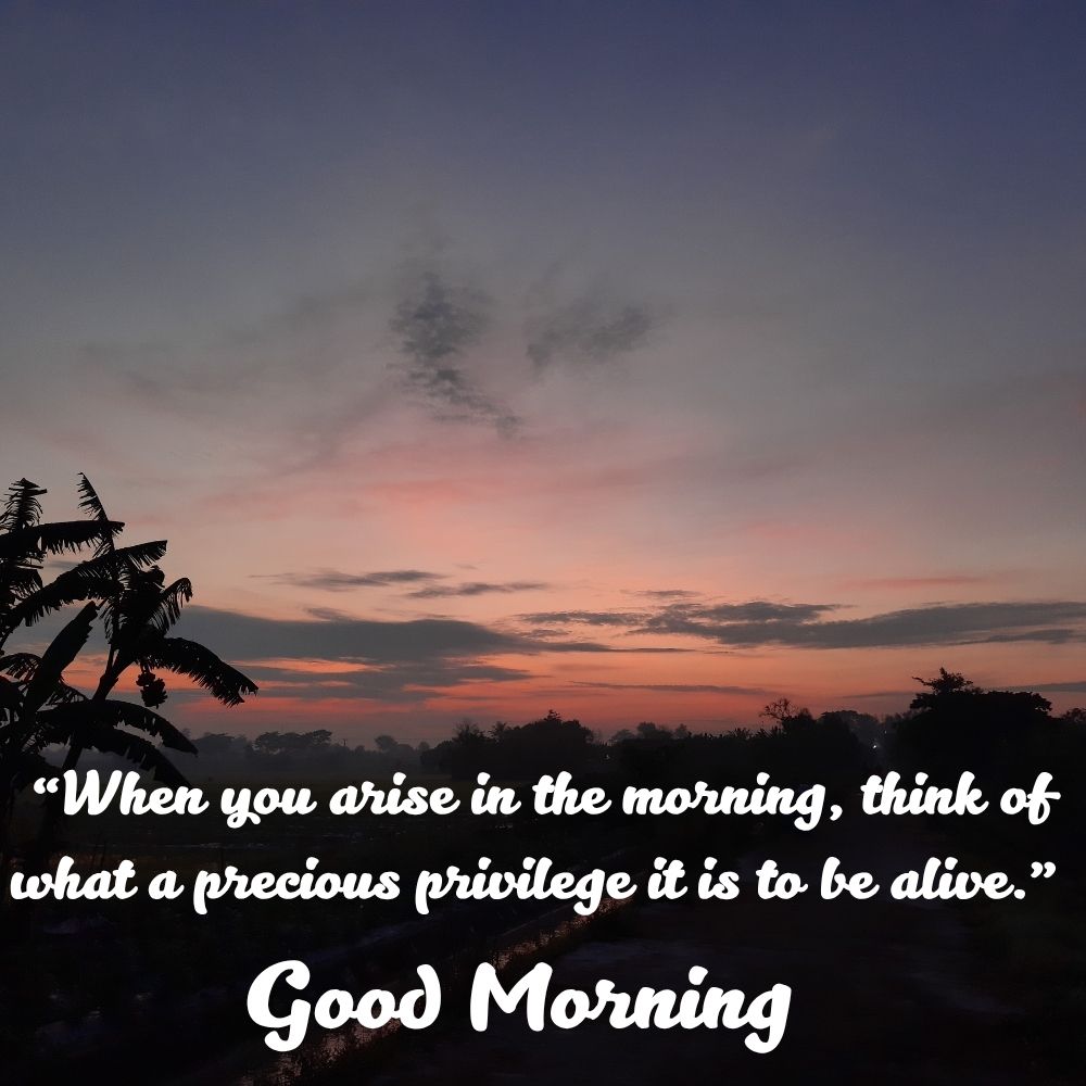 Good Morning Images With Quotes | Good Morning Images With Quotes quotes and wishes