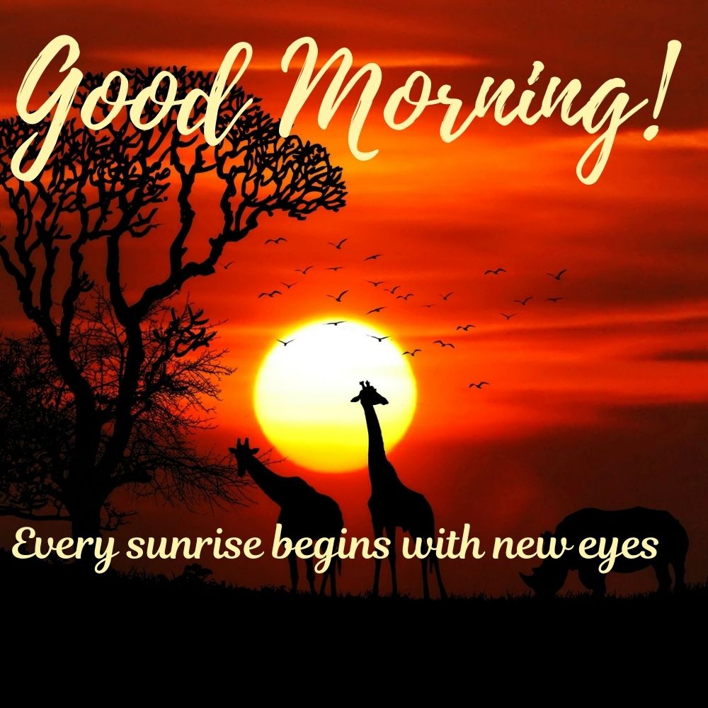 Good Morning Images with quotes | Good Morning Images With Quotes quotes and wishes