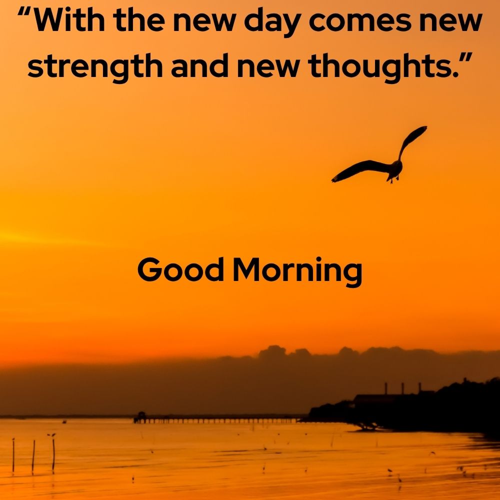 Good Morning Images With Quotes | Good Morning Images With Quotes quotes and wishes